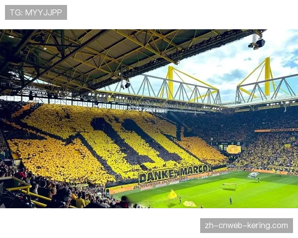 欧足联站席新规引发争议，多特蒙德南看台面临整改